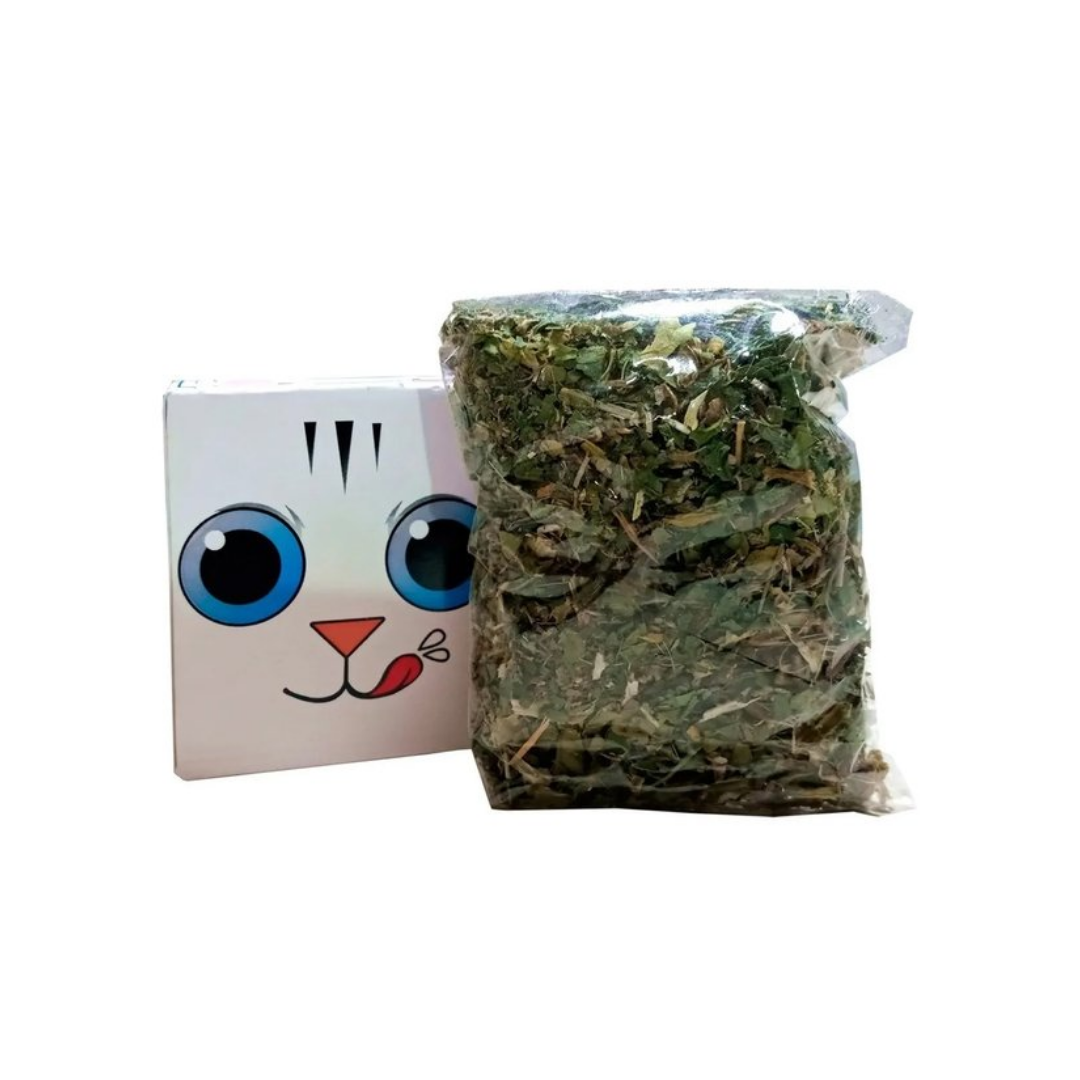 Diseño sin título (3)