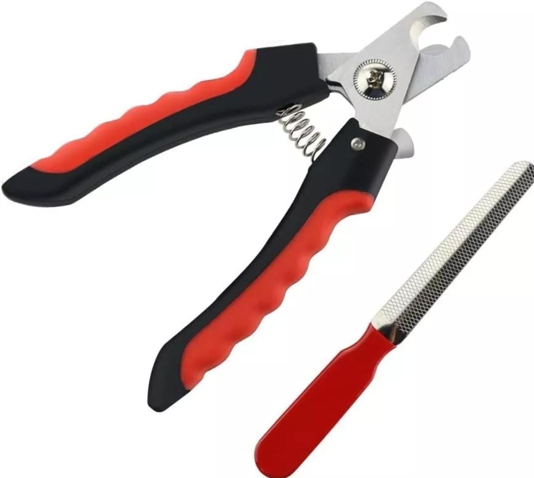 WhatsApp Image 2024-07-08 at 10.05.10