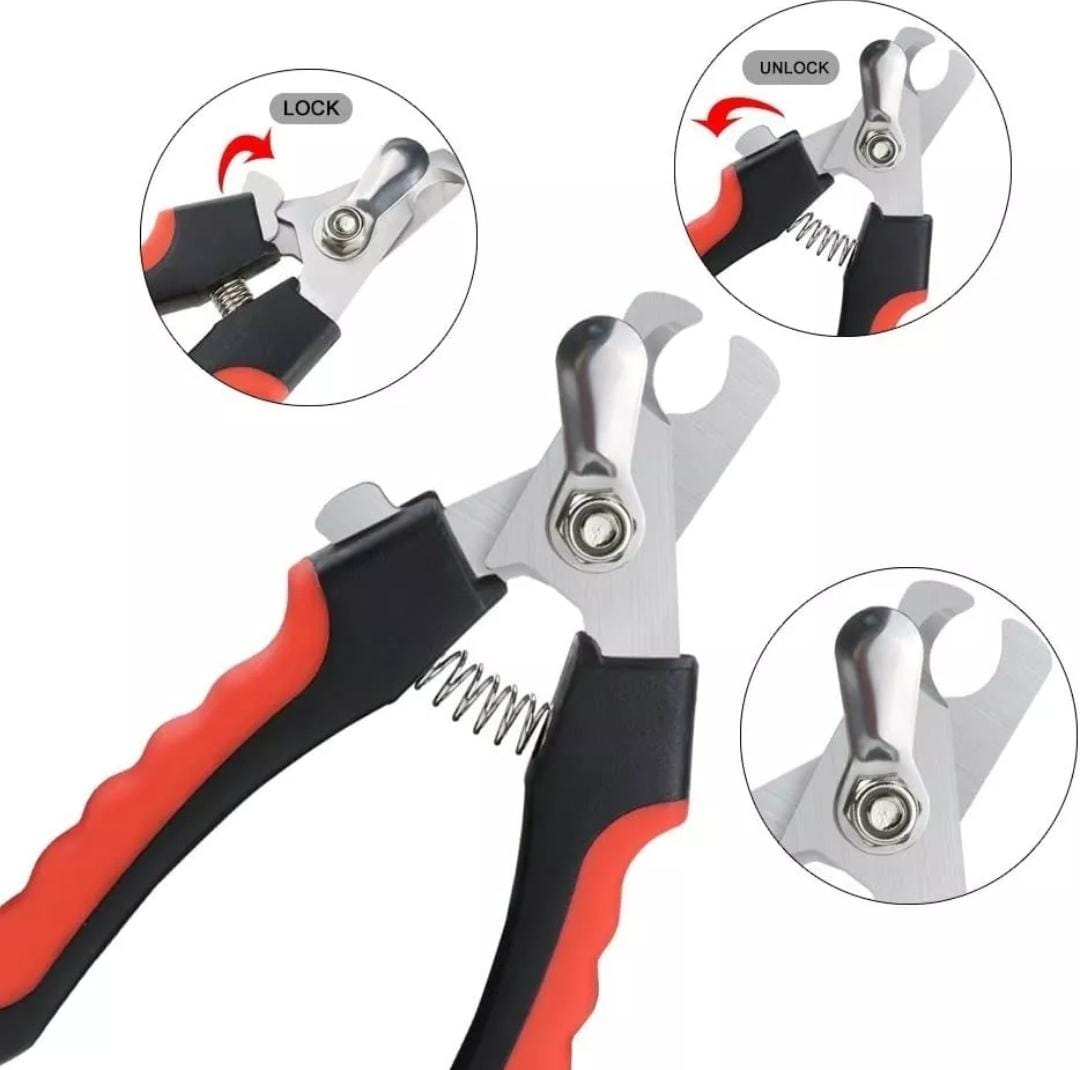 WhatsApp Image 2024-07-08 at 10.05.24