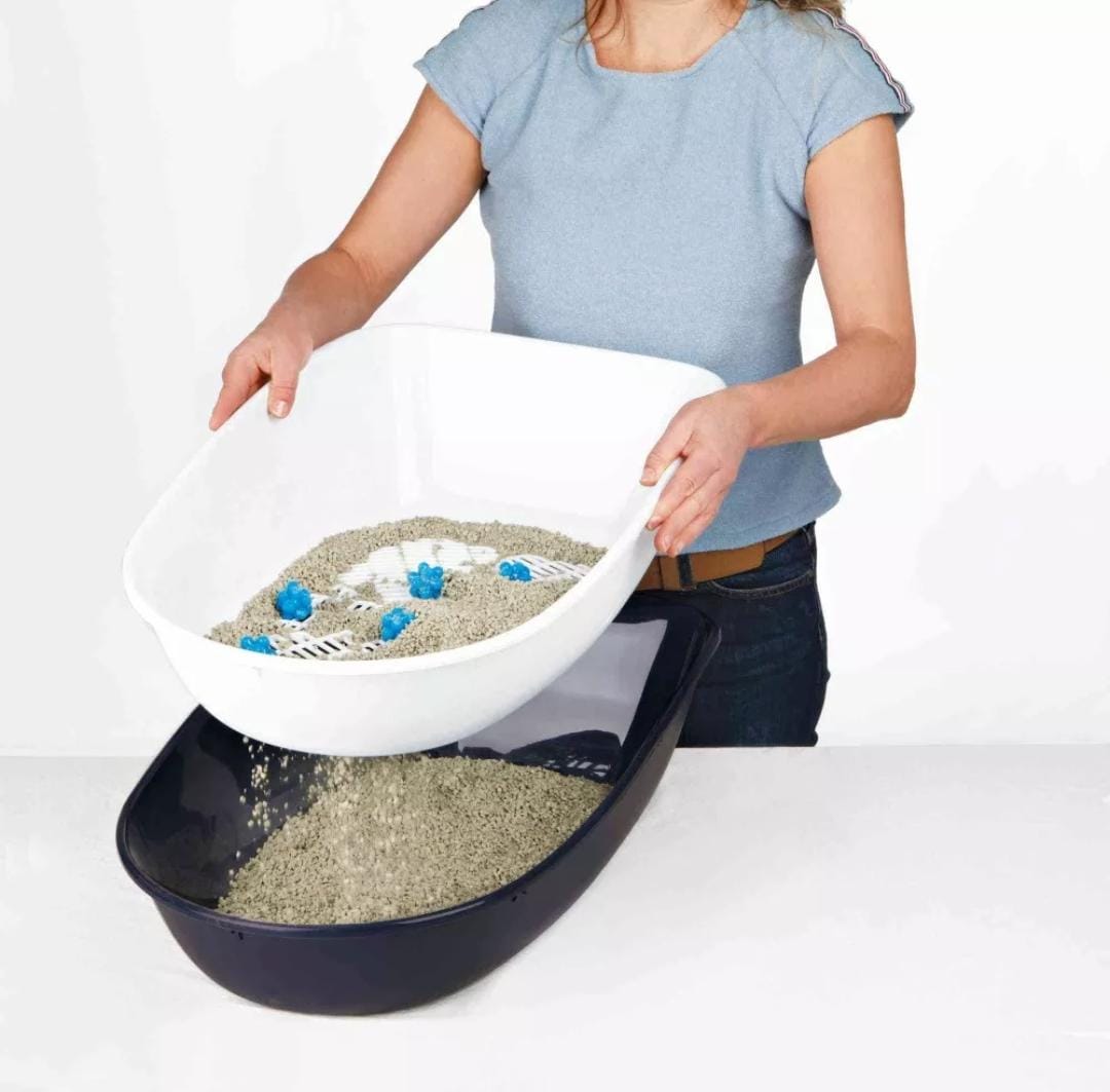 WhatsApp Image 2024-07-18 at 11.45.38