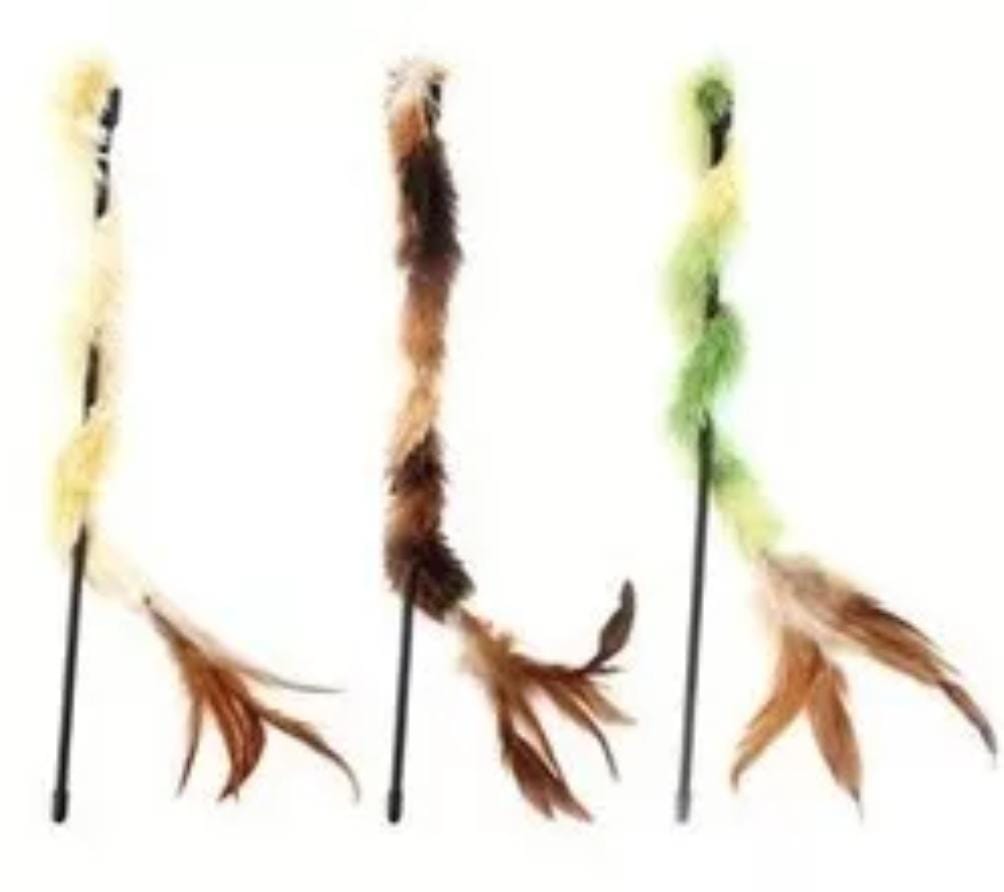 WhatsApp Image 2024-07-19 at 12.12.54