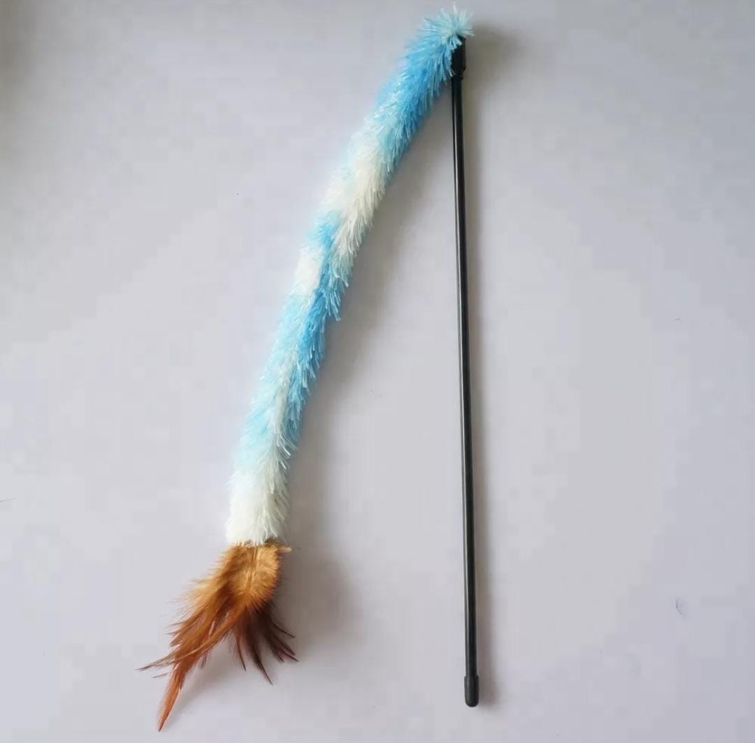 WhatsApp Image 2024-07-19 at 12.13.01