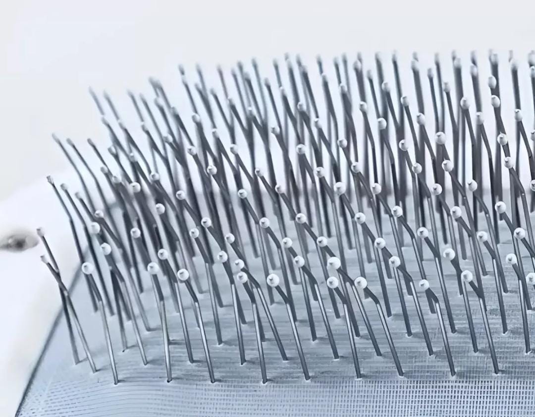 WhatsApp Image 2024-09-03 at 12.48.05